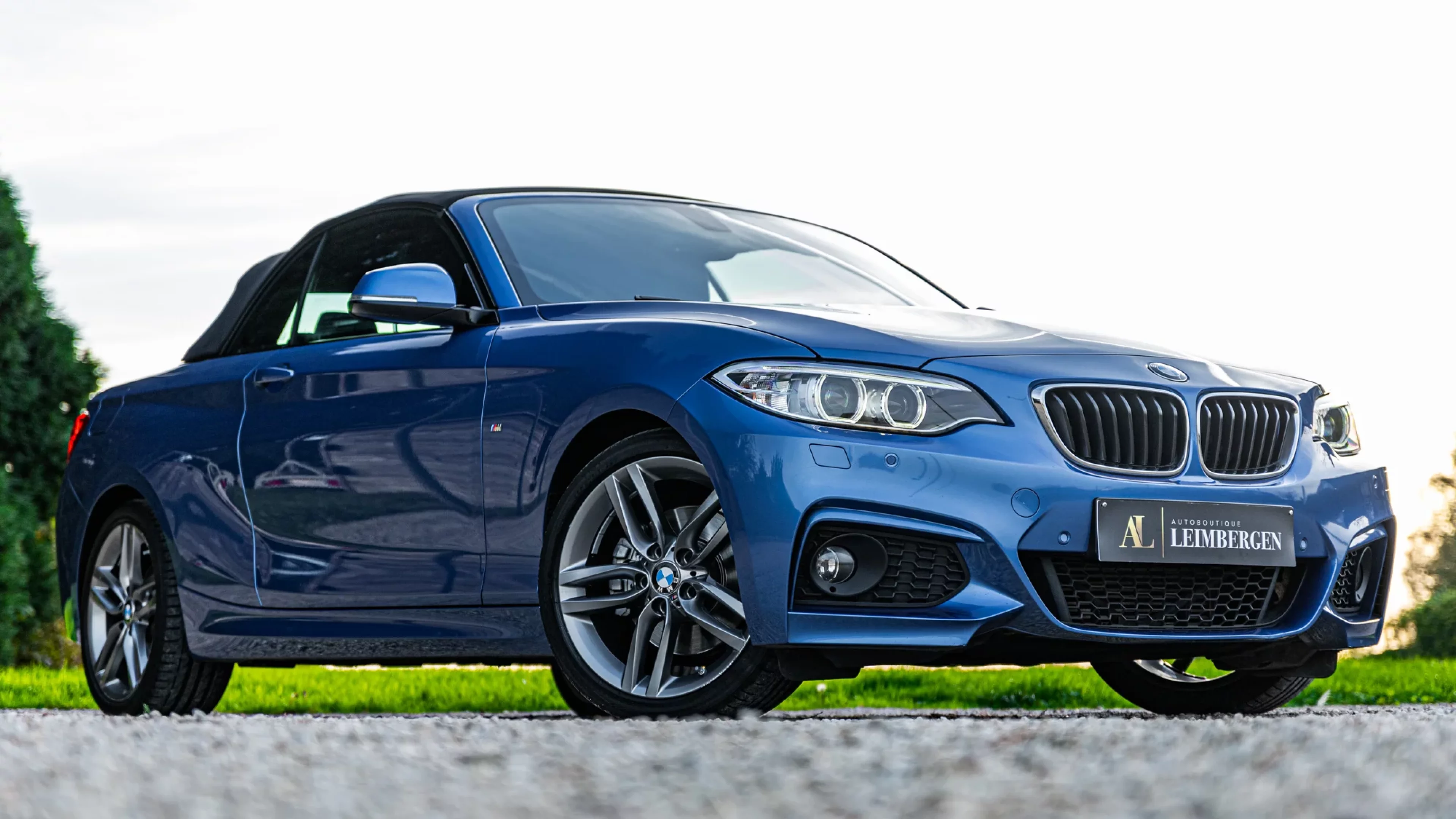 Header BMW 220i Cabriolet (M-Pack)