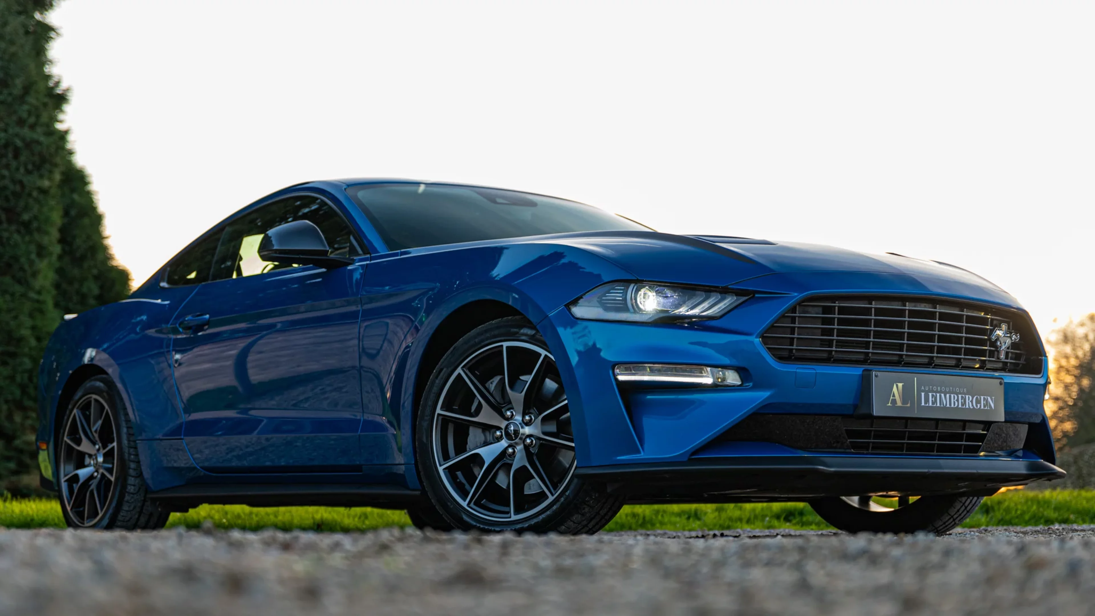 Header Ford Ford Mustang "55th Anniversary Edition"