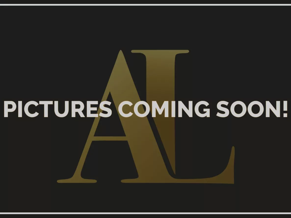 Exterior Tesla Model Y Performance AWD