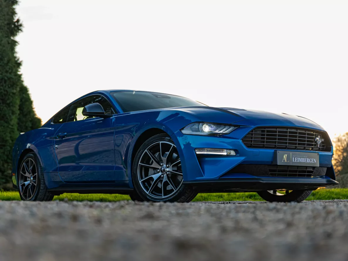 Exterieur Ford Ford Mustang "55th Anniversary Edition"