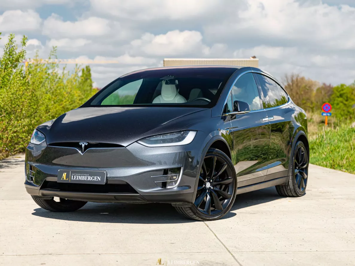 Exterior Tesla Model X 100D Dual Motor (100kWh)